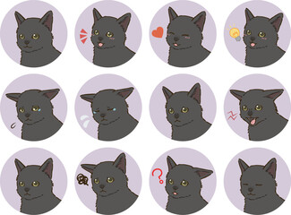 黒猫の表情アイコンセット（短毛）