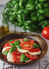 A bowl with traditional Italian caprese salad