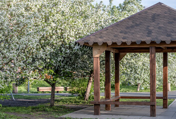 Arbor made of wood in the park among flowering trees.