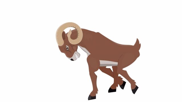 Horned ram. Animation mountain sheep animal, alpha channel. Cartoon