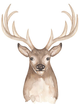 Watercolor animal portrait illustration. Deer face clipart. Clip art for design. Postcard, poster