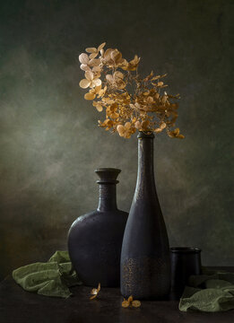 Modern still life with dry hydrangea and green tippet on a dark background