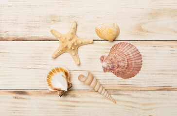 Sea shells on wooden background, top view