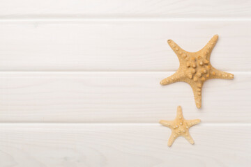 Sea shells on wooden background, top view