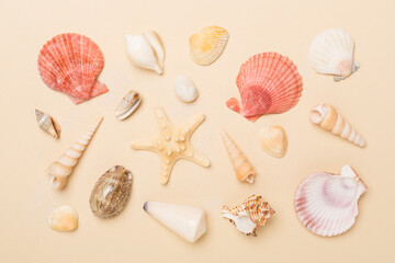 Sea shells on color background, top view