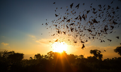 Birds flying silhouettes on sunset. Freedom sunlight bird in the sky. Generative AI.