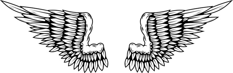 illustration of a pair of wings in black and white,  done in a tattoo-style. Angel wings. illustration of bird wings.