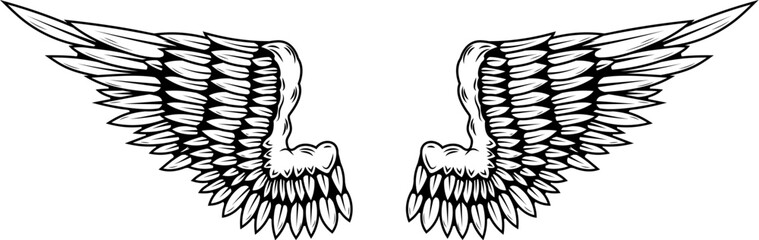 illustration of a pair of wings in black and white,  done in a tattoo-style. Angel wings. illustration of bird wings.