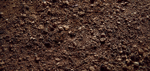 Natural background. Light soil close up - obrazy, fototapety, plakaty