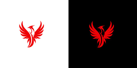 Fototapeta premium Abstract red phoenix logo design template on black and white background. Vector Illustration logotype