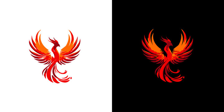 Abstract red phoenix logo design template on black and white background. Vector Illustration logotype