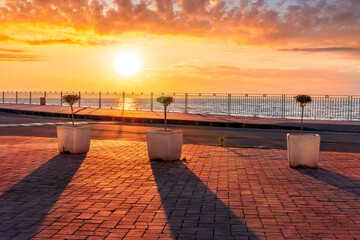 Obraz premium picturesque view of sunrise or sunset landscape on a sidewalk with pavement and sea promenade with three flower pots with small trees