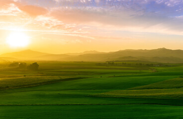 green field in countryside at sunset in the evening light. beautiful spring landscape in the mountains. grassy field and hills. rural scenery