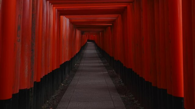 京都稲荷伏見神社 赤い鳥居 神社イメージ 