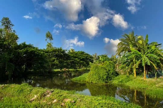 Le Delta du Sundarbans - Adobe Stock
