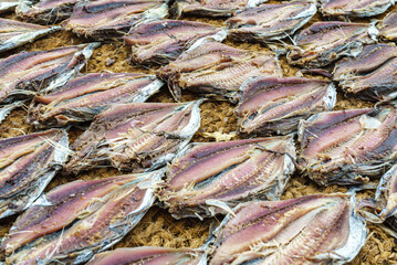 Butchered fish lies and dried under sunlight