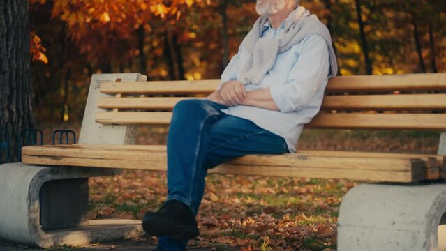 Pleased senior man sitting on bench in autumn park, enjoying great weather