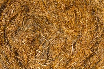 Piled hay bales on a field against blue sky