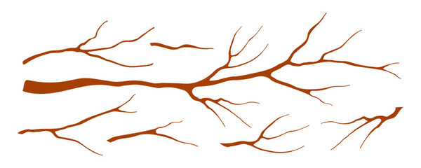 Tree branches, twigs, sticks design elements collection, clipart set, isolated on white. Hand drawn vector illustration. Modern flat style. Botanical, plant element, wood