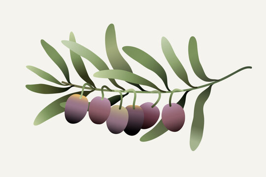 Olive branch gradient digital hand drawn illustration. Modern trendy minimalistic isolated drawing element.
