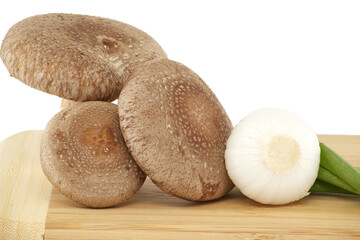 Shiitake mushrooms and onions isolated on white