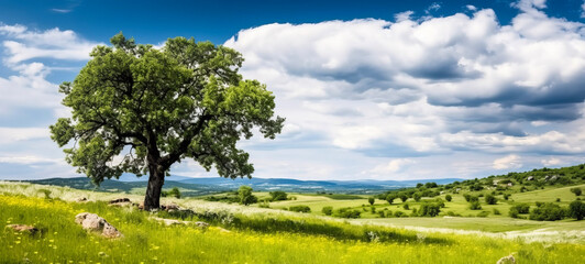 A serene green summer meadow, adorned with vibrant flowers, embraces an ancient oak tree, painting a picturesque atmospheric landscape. Ai-genereted