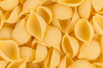 conchiglie pasta shell