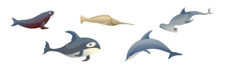 Ocean Underwater Animals with Walrus, Swordfish, Hammerhead, Dolphin and Killer Whale Vector Set