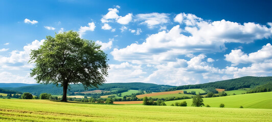 Naklejka premium A serene green summer meadow, adorned with vibrant flowers, embraces an ancient oak tree, painting a picturesque atmospheric landscape. Ai-generated