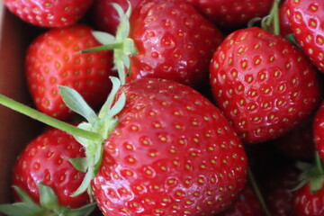 Erdbeeren gegen Krebs