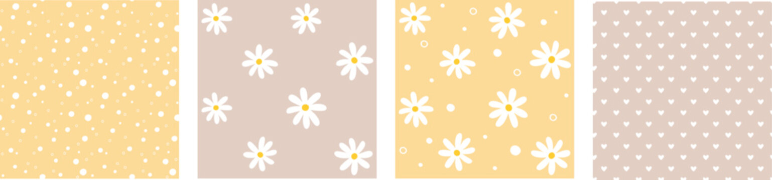 Seamless pattern with simple illustration summer daisy flower head. Vector decorative floral background