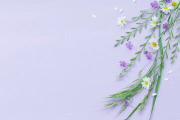 wild flowers on purple paper background
