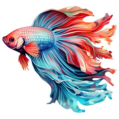 Fototapeta premium siamese betta fish with beautiful tail illustration Watercolor isolated on white transparent background, PNG ,Generative AI