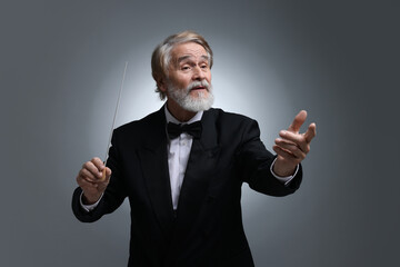 Professional conductor with baton on grey background