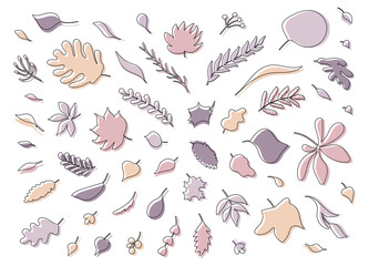 A set of leaves of a monster, banana, lotus, oak, birch and other trees. Elements in the style of doodle with color, hand-drawn, pastel flowers and greenery. Isolated vector elements.