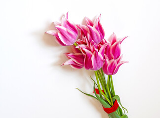 Bouquet of tulips, purple-white, with green leaves, tied with a red ribbon. For postcards, congratulations