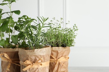 Different aromatic potted herbs against white wall, closeup. Space for text
