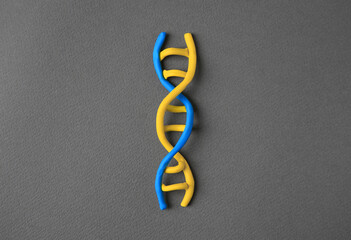 DNA molecule model made of colorful plasticine on black background, top view