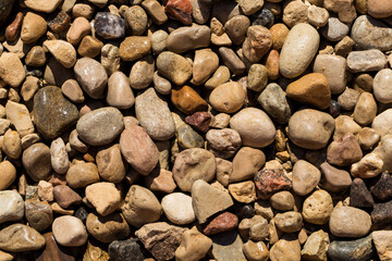 Wet Stone Pebbles Texture Or Stone Pebbles Background For Design