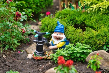 Close-up shot of a red-hatted garden dwarf placed next to a water sprinkler - obrazy, fototapety, plakaty