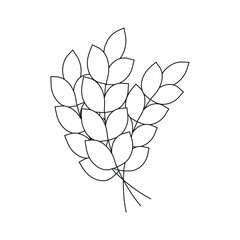 Bundle of wheat, spikelets. Ukrainian symbols. Line art.