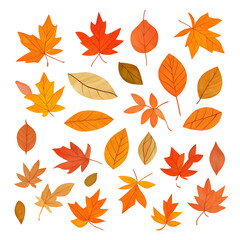Fototapeta na wymiar Dried autumn leaves from Generative AI