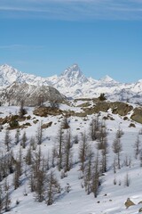 Fototapeta na wymiar Sunny winter scene featuring a white hillside blanketed in snow
