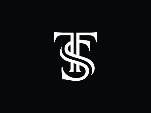 Creative TS, ST, initial monogram elegant vector logo template	