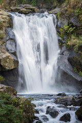 Fototapeta na wymiar Waterfall in Neidong National Forest Recreation Area, Wulai District, New Taipei City, Taiwan