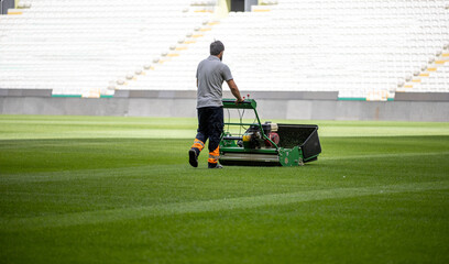 Green grass soccer field