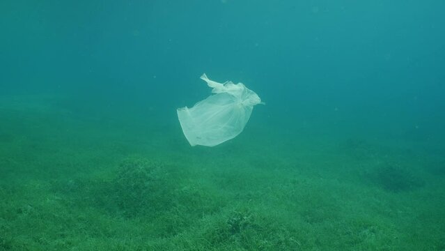 White plastic bag drifting in the water column over the seagrass meadow, slow motion. Plastic bag floating underwater on the blue depth, environmental pollution. Plastic pollution of Ocean