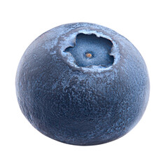 blueberry isolated on white background, full depth of field, high quality