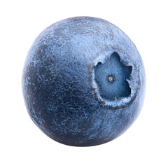 blueberry isolated on white background, full depth of field, high quality