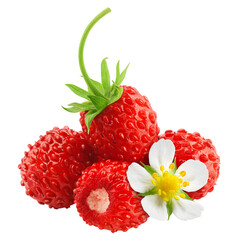 wild Strawberry isolated on white background, full depth of field
